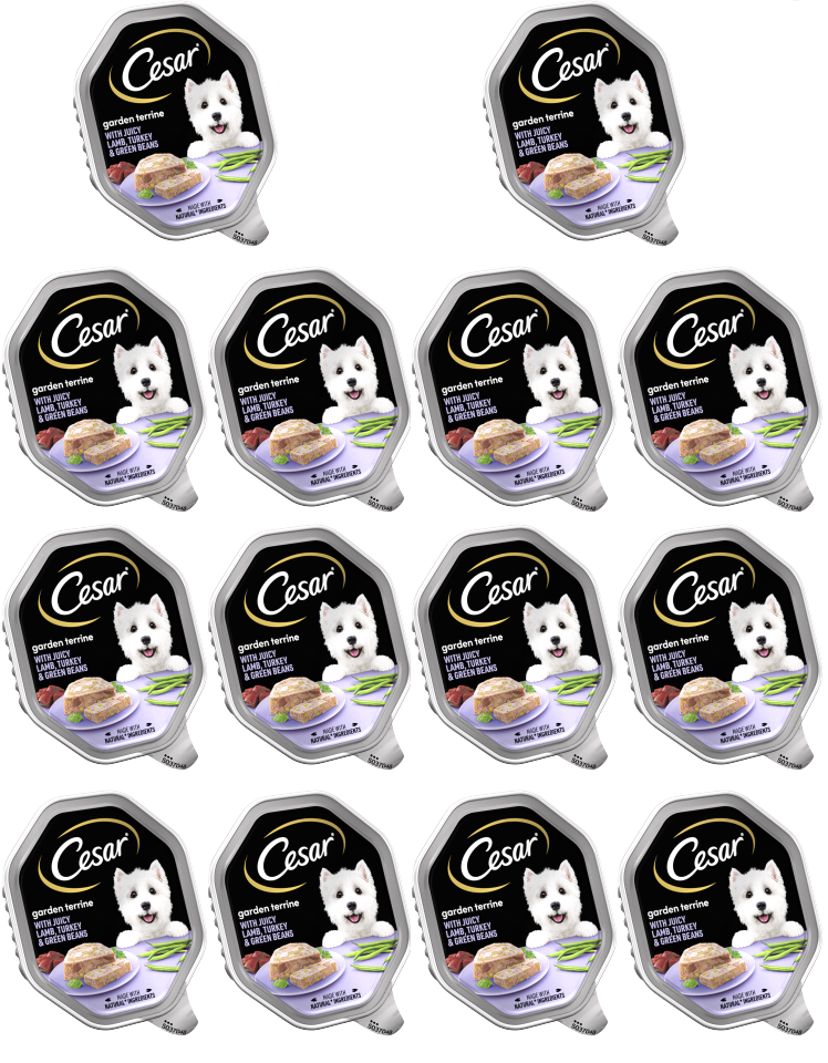 14 x Cesar Garden Terrine Turkey Lamb & Green Beans 150G