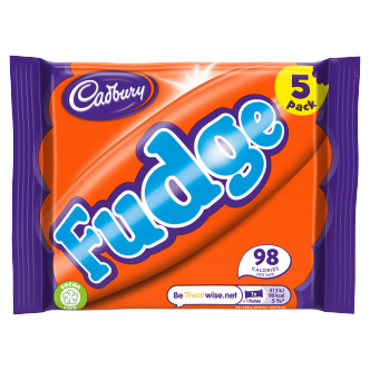 20-x-Cadbury-Fudge-5-Pack-Multipack-110.5Gm-